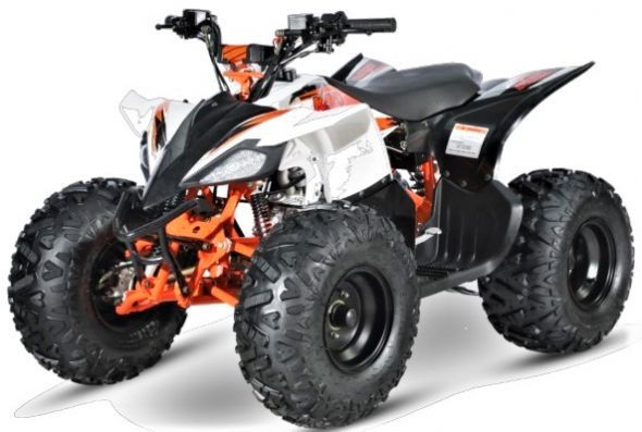 GOES Predator 110cc