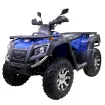 TAOTAO 300