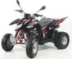 SP 250-300cc SM & Sport